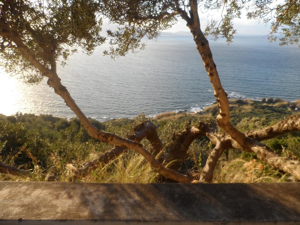 Michalis Holiday Home Ravdhoukha Exterior photo